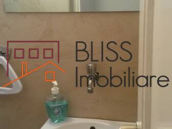 House for Rent Dorobanti | Primaverii | Kiseleff | Aviatorilor, Bucharest - 5 Bedroom - ID:2049 | Bliss Imobiliare / Photo 62 - BLISS Imobiliare