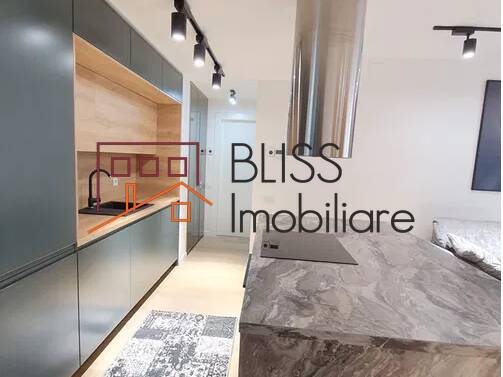 Apartment for Rent Herastrau | Nordului, Bucharest - 1 Bedroom - ID:80757 | Bliss Imobiliare / Photo 4 - BLISS Imobiliare