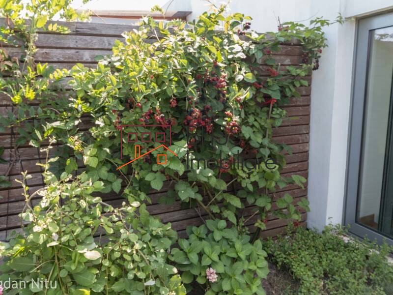 Penthouse apartment for Rent Herastrau | Nordului, Bucharest - 4 Bedroom - ID:8639 | Bliss Imobiliare / Photo 36 - BLISS Imobiliare