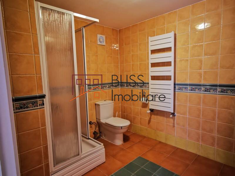Spacious 5 Bedroom Villa, Bucharest / Ilfov | Bliss Imobiliare / Photo 43 - BLISS Imobiliare