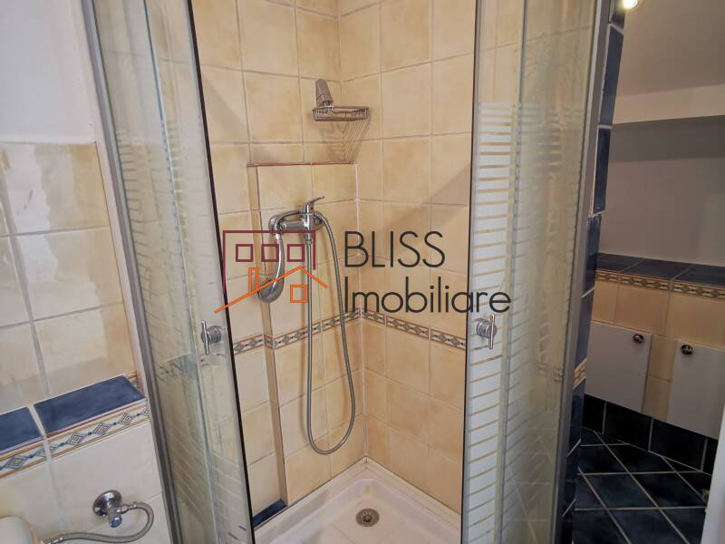 Spacious 5 Bedroom Villa, Bucharest / Ilfov | Bliss Imobiliare / Photo 51 - BLISS Imobiliare