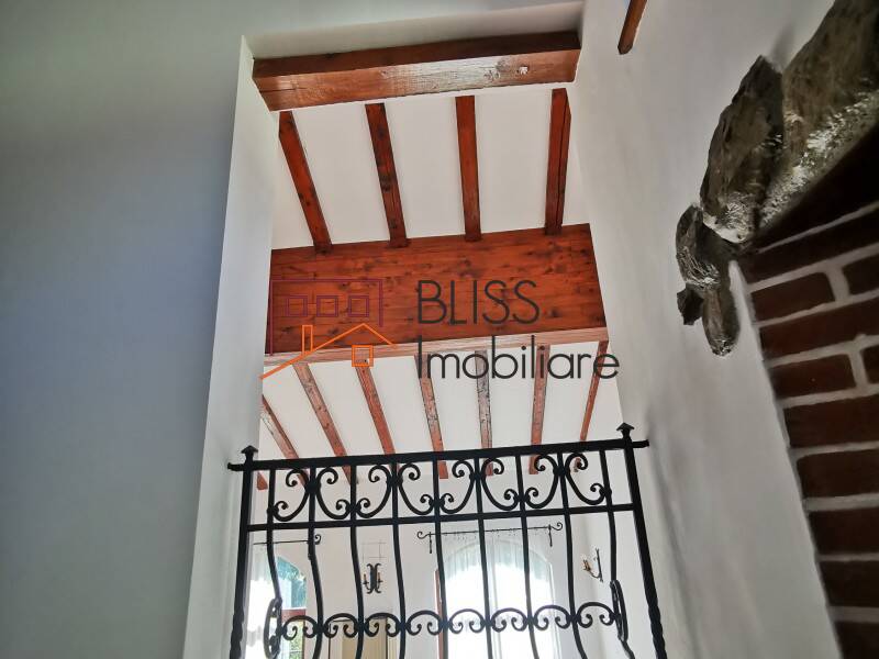 Vila 680mp Cu Gradina Si Piscina Tunari | Bliss Imobiliare / Photo 32 - BLISS Imobiliare