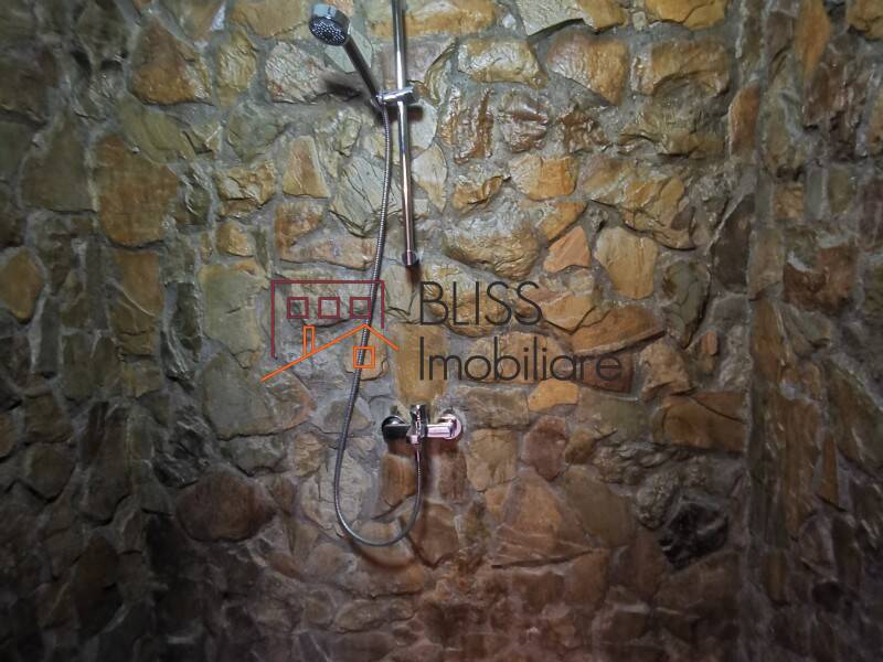 680sqm Villa With Garden And Pool Tunari, Bucharest / Ilfov | Bliss Imobiliare / Photo 59 - BLISS Imobiliare