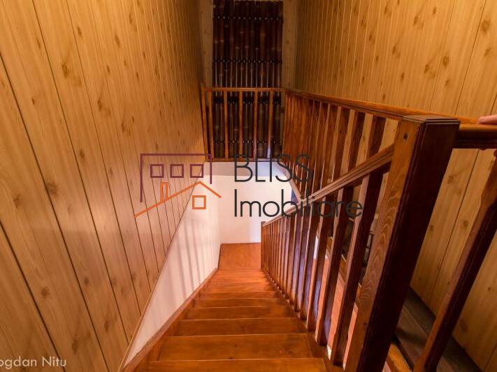 Casa de Inchiriat Bucurestii Noi - Damaroaia - Chitila - 4 Camere - ID:9584 | Bliss Imobiliare / Photo 13 - BLISS Imobiliare