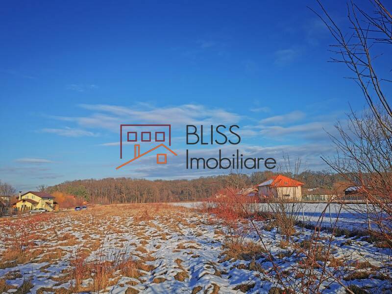 Photo 3 - BLISS Imobiliare