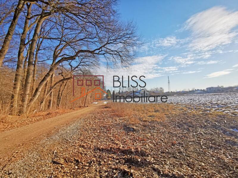 Photo 5 - BLISS Imobiliare