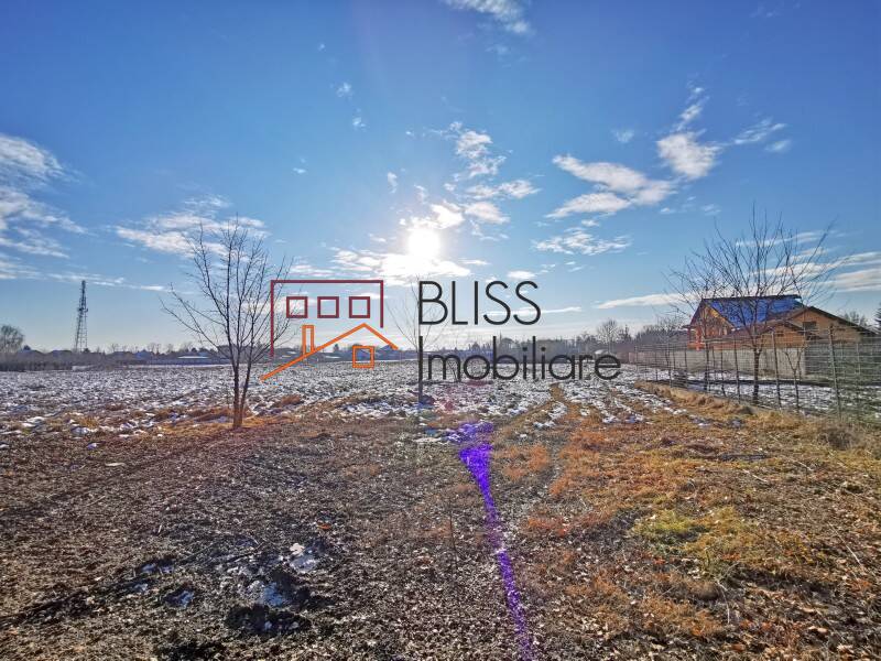 Photo 7 - BLISS Imobiliare