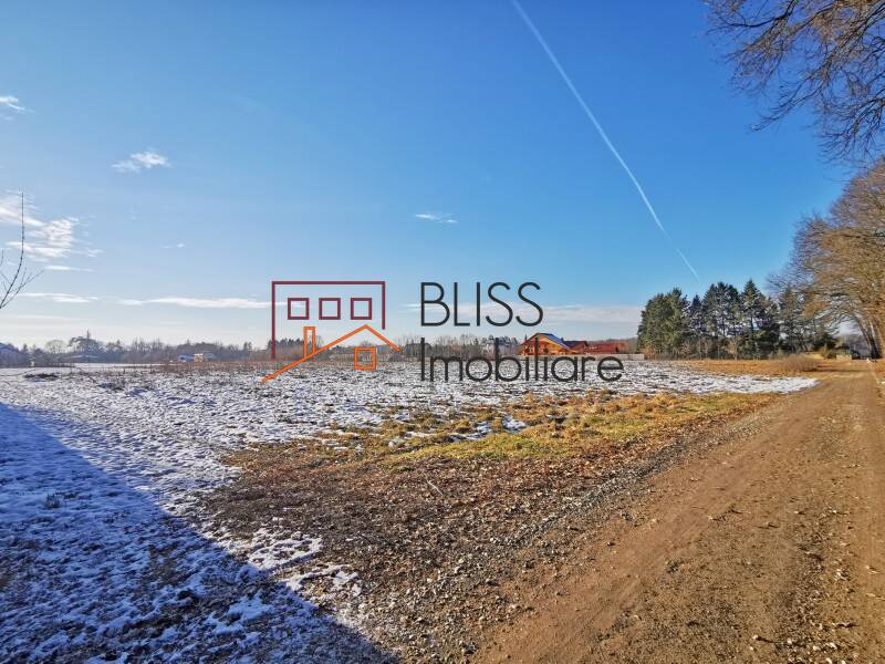 Photo 4 - BLISS Imobiliare