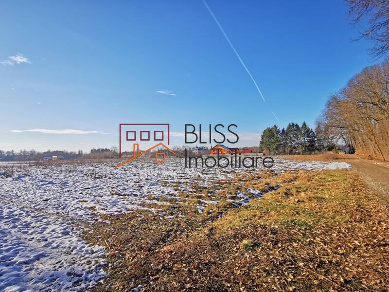 Photo 6 - BLISS Imobiliare