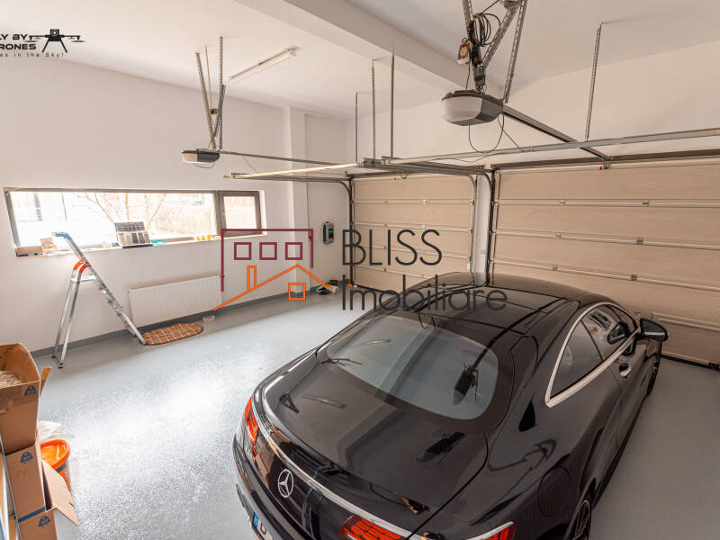Vila Cu 7 Camere, Zona Herastrau | Bliss Imobiliare / Photo 16 - BLISS Imobiliare