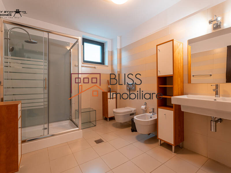 5 Bedrooms Villa, Around Herastrau Park, Bucharest | Bliss Imobiliare / Photo 60 - BLISS Imobiliare