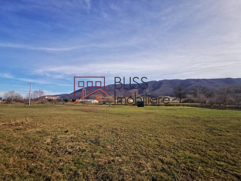 Photo 6 - BLISS Imobiliare