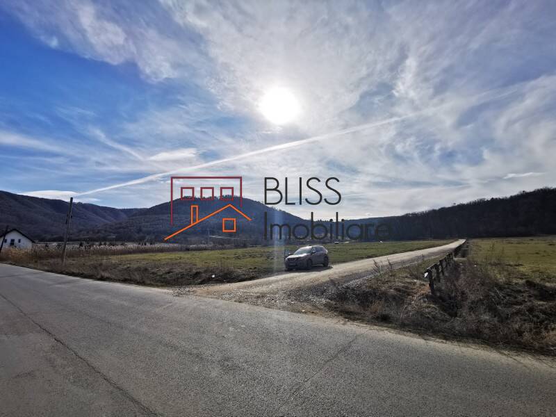 Photo 2 - BLISS Imobiliare