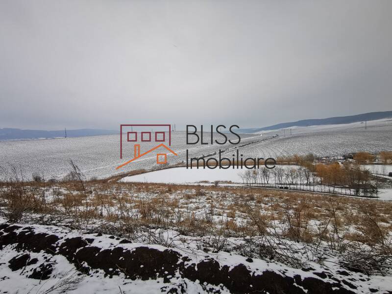 Photo 7 - BLISS Imobiliare