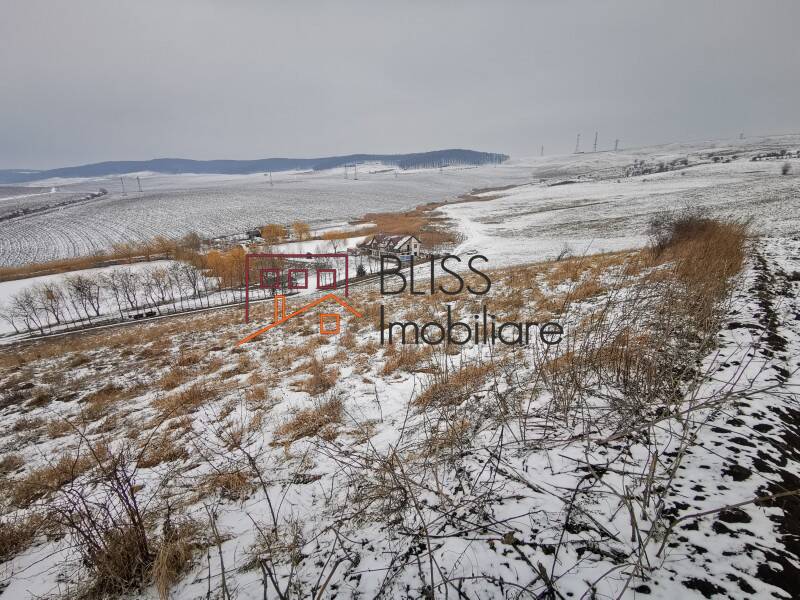 Photo 9 - BLISS Imobiliare