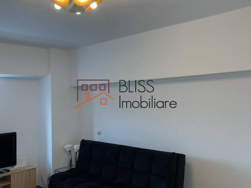 Modern Fully Furnished Studio Apartment Izvor Park, Bucharest | Bliss Imobiliare / Photo 11 - BLISS Imobiliare