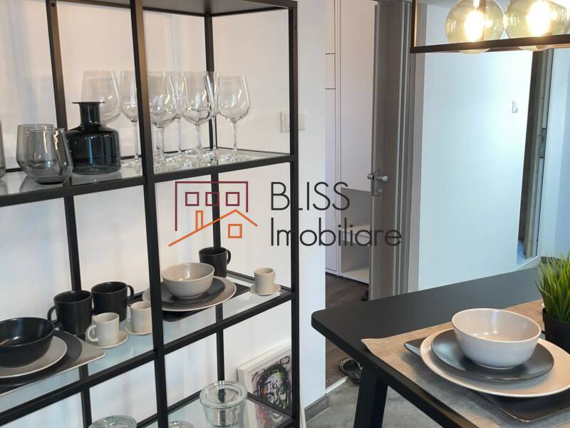 Modern Fully Furnished Studio Apartment Izvor Park, Bucharest | Bliss Imobiliare / Photo 17 - BLISS Imobiliare