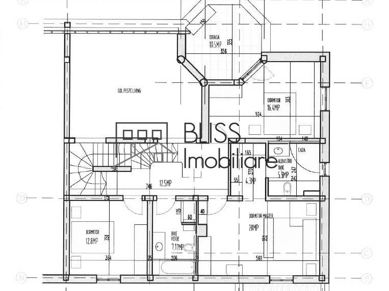 Vila Spatioasa Cu 6 Camere Si Gradina Superba Baneasa | Bliss Imobiliare / Photo 70 - BLISS Imobiliare