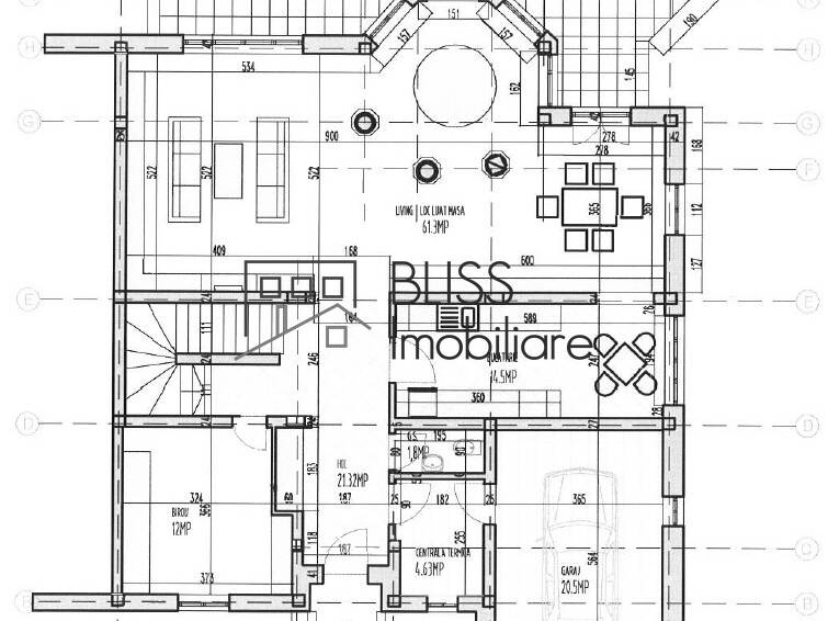 Vila Spatioasa Cu 6 Camere Si Gradina Superba Baneasa | Bliss Imobiliare / Photo 69 - BLISS Imobiliare
