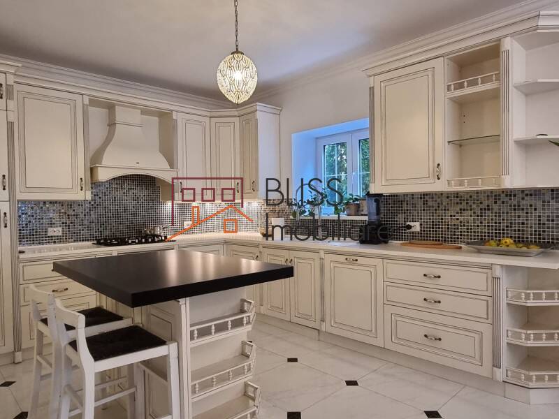 Vila Duplex Cu 6 Camere Si Gradina Zona Baneasa | Bliss Imobiliare / Photo 14 - BLISS Imobiliare