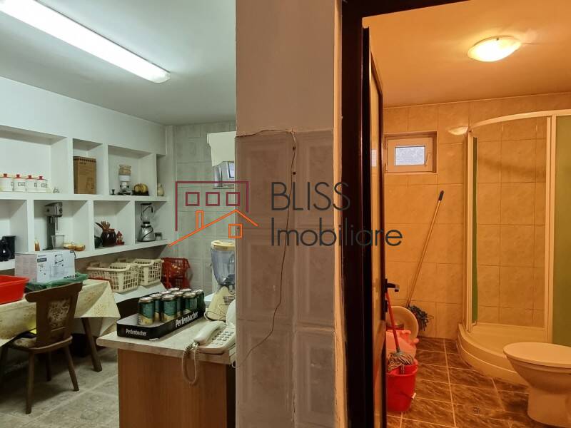 Vila Cu 15 Camere Si Gradina Spatioasa Baneasa | Bliss Imobiliare / Photo 35 - BLISS Imobiliare