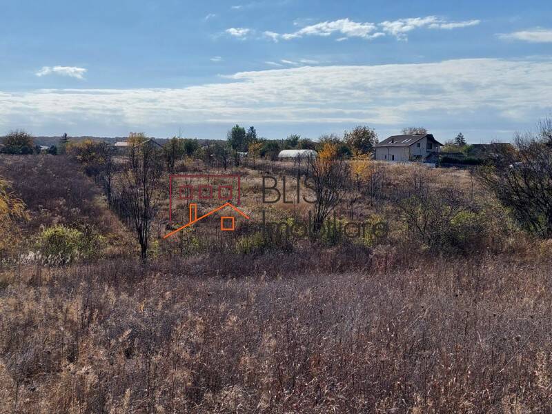 Photo 1 - BLISS Imobiliare