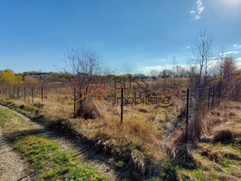 Photo 3 - BLISS Imobiliare