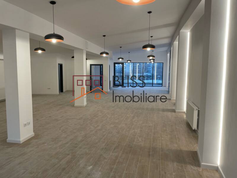 spațiu de birouri de Inchiriat Piata Victoriei - 2 Camere - ID:102367 | Bliss Imobiliare / Photo 3 - BLISS Imobiliare