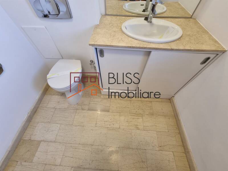Vila 6 Camere Cu Gradina In Pipera | Bliss Imobiliare / Photo 37 - BLISS Imobiliare