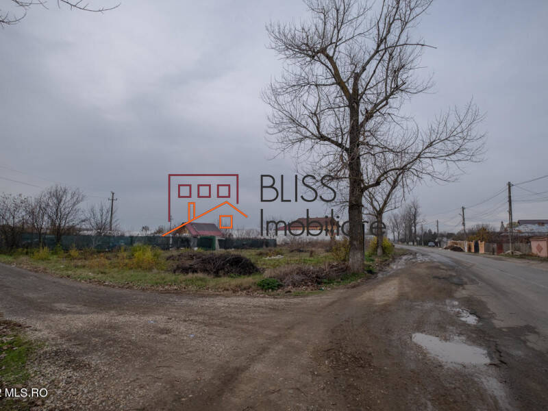 Photo 3 - BLISS Imobiliare