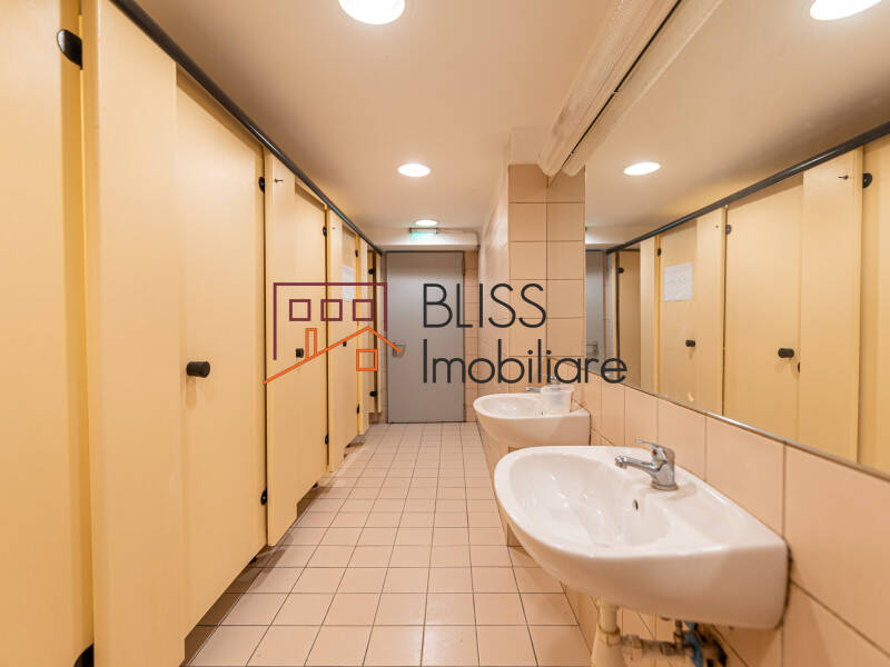 Spatiu De Productie Cu Birouri In Militari | Bliss Imobiliare / Photo 30 - BLISS Imobiliare
