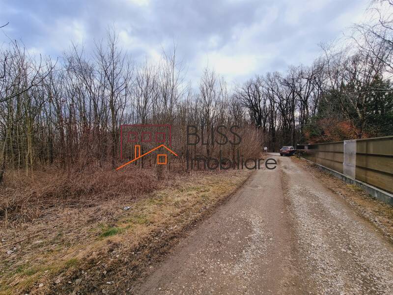 Photo 3 - BLISS Imobiliare