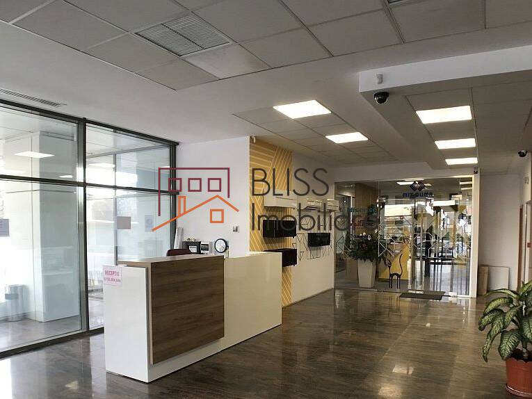 Office Space, Bucharest | Bliss Imobiliare / Photo 4 - BLISS Imobiliare