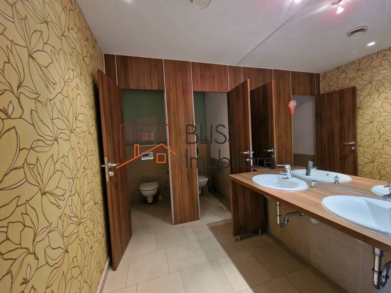 spațiu de birouri de Inchiriat Piata Victoriei - ID:108469 | Bliss Imobiliare / Photo 17 - BLISS Imobiliare