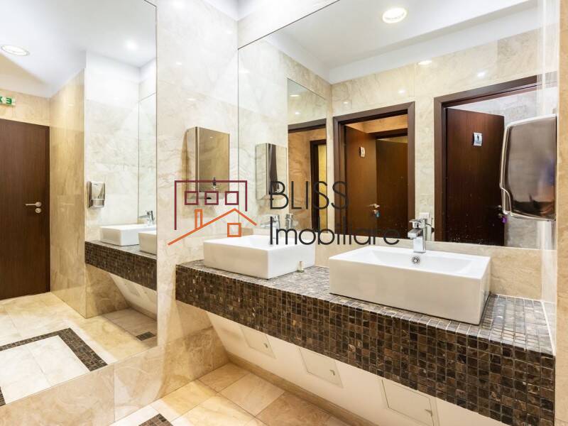 Office space for Rent Dorobanti | Primaverii | Kiseleff | Aviatorilor, Bucharest - ID:108374 | Bliss Imobiliare / Photo 12 - BLISS Imobiliare