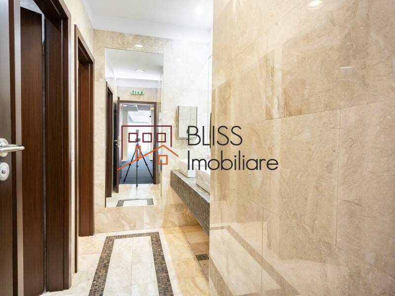 spațiu de birouri de Inchiriat Dorobanti | Primaverii | Kiseleff | Aviatorilor - ID:108374 | Bliss Imobiliare / Photo 11 - BLISS Imobiliare