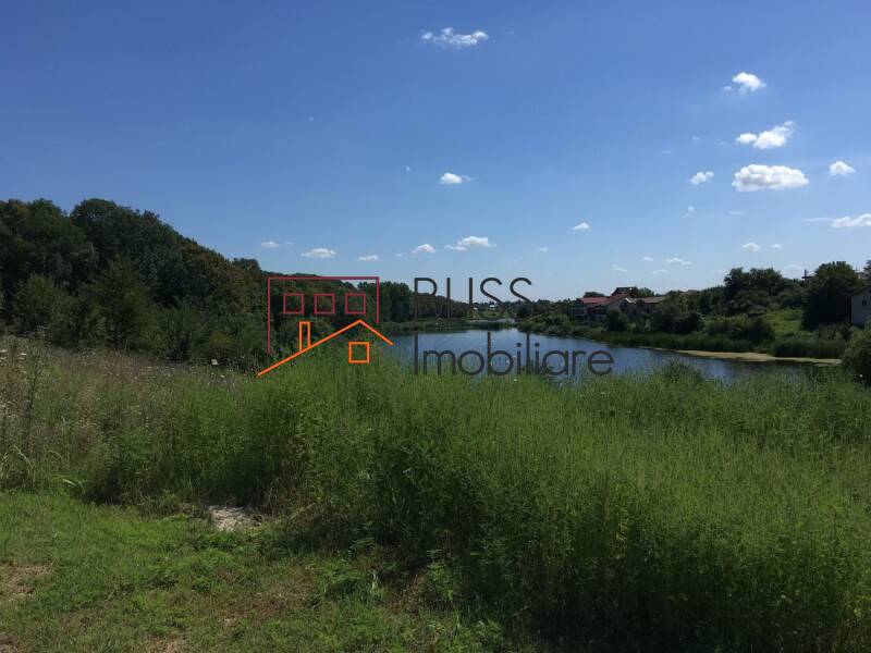 Photo 3 - BLISS Imobiliare