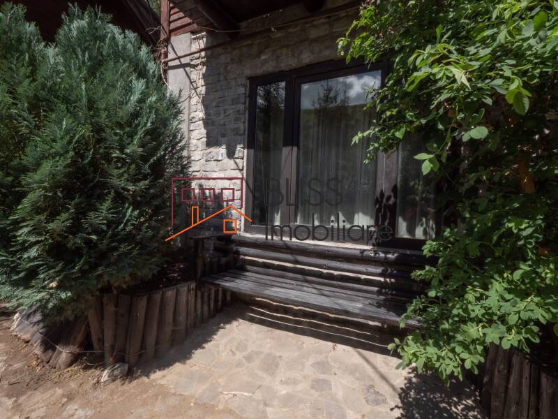 Villa for Sale Moroeni, Comuna Pietrosita, Judetul Dambovita, Romania - 16 Rooms - ID:108872 | Bliss Imobiliare / Photo 16 - BLISS Imobiliare