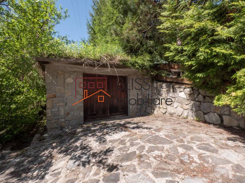 Villa for Sale Moroeni, Comuna Pietrosita, Judetul Dambovita, Romania - 16 Rooms - ID:108872 | Bliss Imobiliare / Photo 3 - BLISS Imobiliare