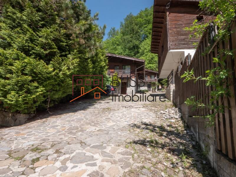 Villa for Sale Moroeni, Comuna Pietrosita, Judetul Dambovita, Romania - 16 Rooms - ID:108872 | Bliss Imobiliare / Photo 6 - BLISS Imobiliare