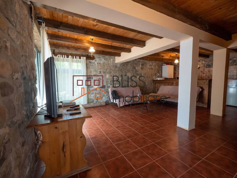 Villa for Sale Moroeni, Comuna Pietrosita, Judetul Dambovita, Romania - 16 Rooms - ID:108872 | Bliss Imobiliare / Photo 17 - BLISS Imobiliare