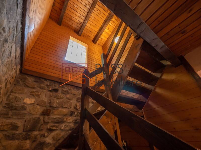 Villa for Sale Moroeni, Comuna Pietrosita, Judetul Dambovita, Romania - 16 Rooms - ID:108872 | Bliss Imobiliare / Photo 19 - BLISS Imobiliare