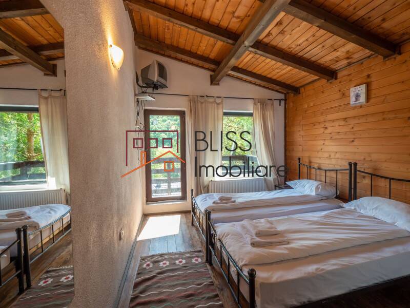 Villa for Sale Moroeni, Comuna Pietrosita, Judetul Dambovita, Romania - 16 Rooms - ID:108872 | Bliss Imobiliare / Photo 26 - BLISS Imobiliare