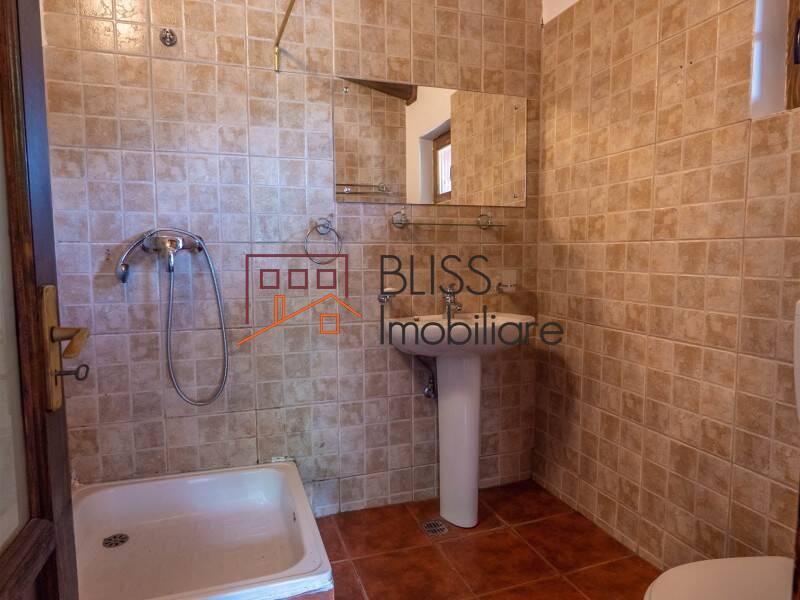 Villa for Sale Moroeni, Comuna Pietrosita, Judetul Dambovita, Romania - 16 Rooms - ID:108872 | Bliss Imobiliare / Photo 31 - BLISS Imobiliare