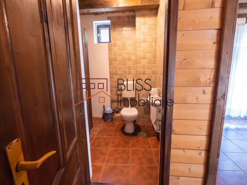 Villa for Sale Moroeni, Comuna Pietrosita, Judetul Dambovita, Romania - 16 Rooms - ID:108872 | Bliss Imobiliare / Photo 33 - BLISS Imobiliare
