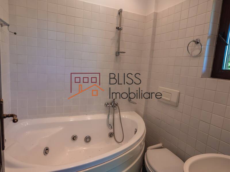 Villa for Sale Moroeni, Comuna Pietrosita, Judetul Dambovita, Romania - 16 Rooms - ID:108872 | Bliss Imobiliare / Photo 36 - BLISS Imobiliare