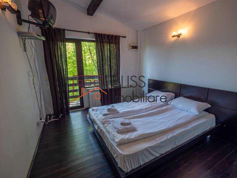 Villa for Sale Moroeni, Comuna Pietrosita, Judetul Dambovita, Romania - 16 Rooms - ID:108872 | Bliss Imobiliare / Photo 37 - BLISS Imobiliare