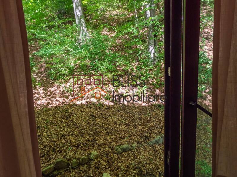 Villa for Sale Moroeni, Comuna Pietrosita, Judetul Dambovita, Romania - 16 Rooms - ID:108872 | Bliss Imobiliare / Photo 39 - BLISS Imobiliare