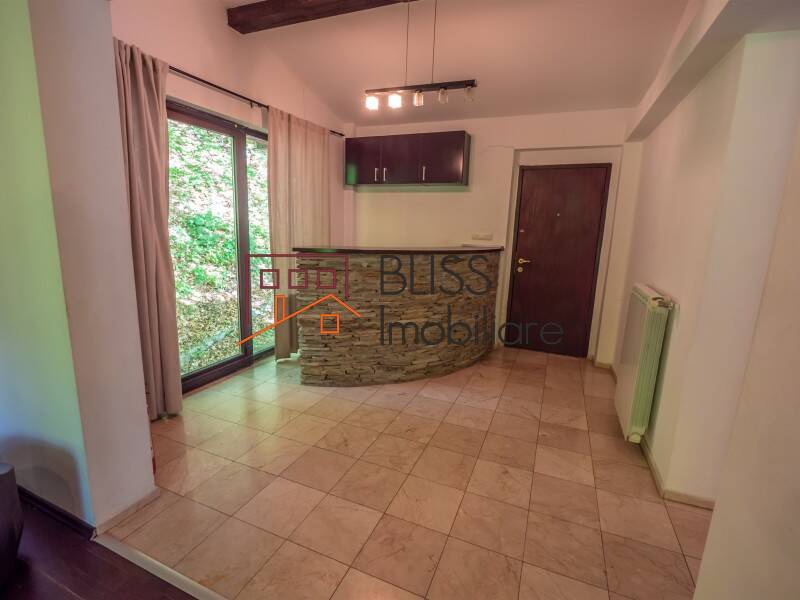 Villa for Sale Moroeni, Comuna Pietrosita, Judetul Dambovita, Romania - 16 Rooms - ID:108872 | Bliss Imobiliare / Photo 43 - BLISS Imobiliare