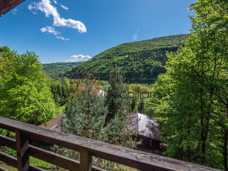 Villa for Sale Moroeni, Comuna Pietrosita, Judetul Dambovita, Romania - 16 Rooms - ID:108872 | Bliss Imobiliare / Photo 44 - BLISS Imobiliare